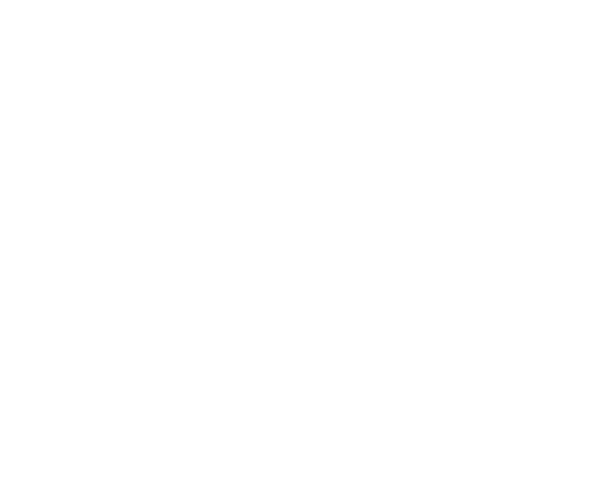 Bayer Leverkusen