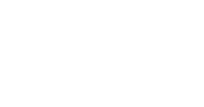 Bravest Studios