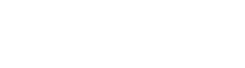 Budweiser