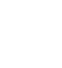 Carhartt WIP