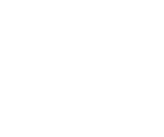 Castore
