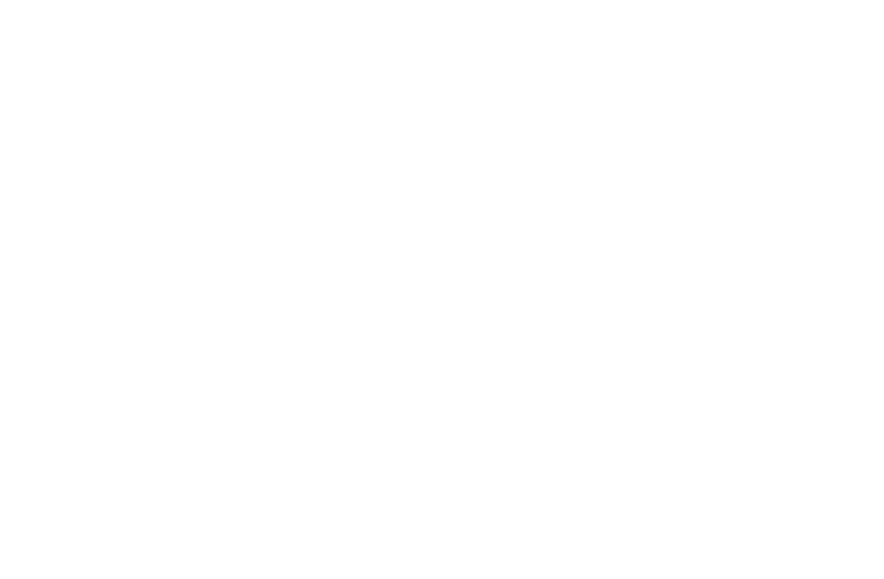 Caterpillar