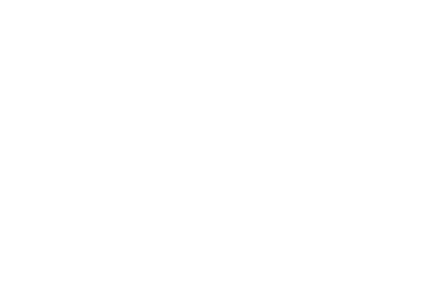 Evisu