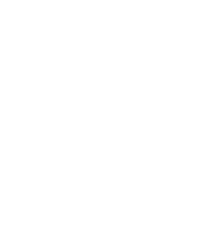Flamengo