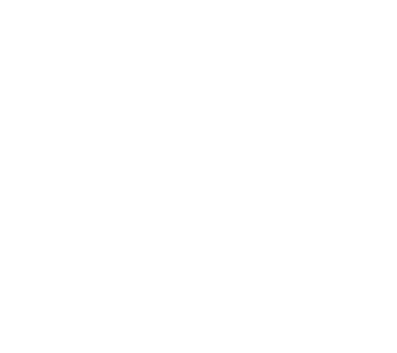 Hanes