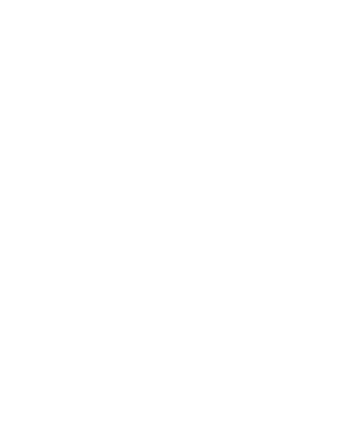 Isabel Marant