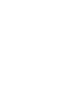 Netherlands National Team