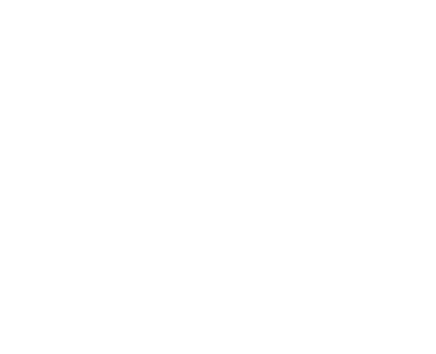 Olympique Lyonnais