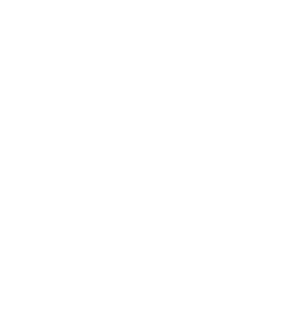 Olympique de Marseille