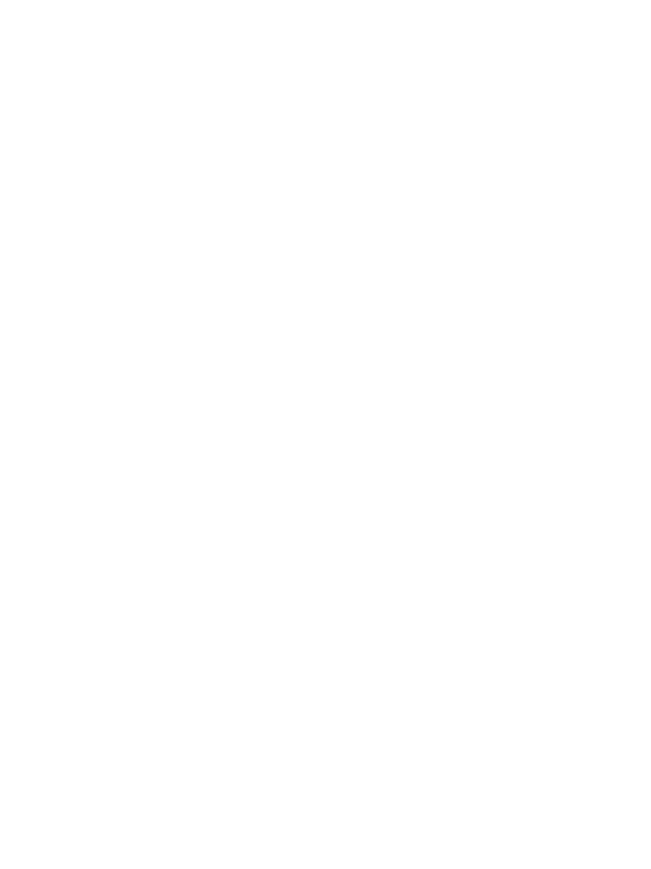 Palestine National Team