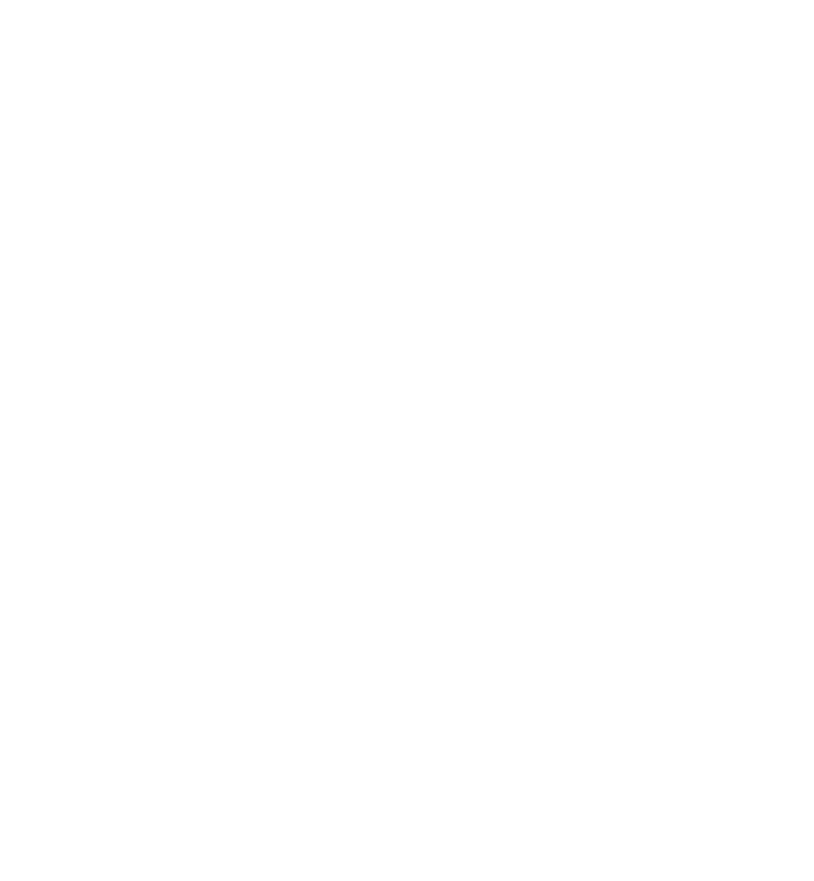 Palestino