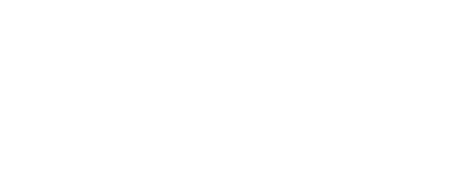 Panini