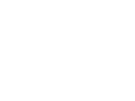 Patta