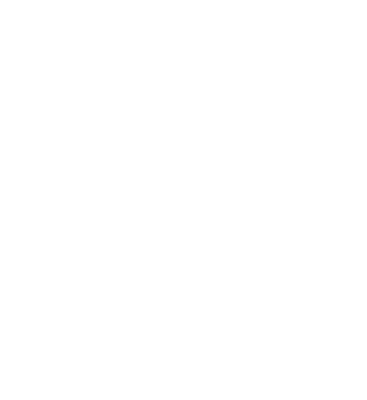 Polar Skate Co.