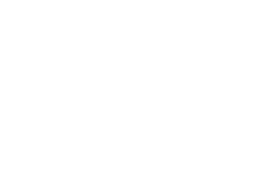 Red Bull Racing