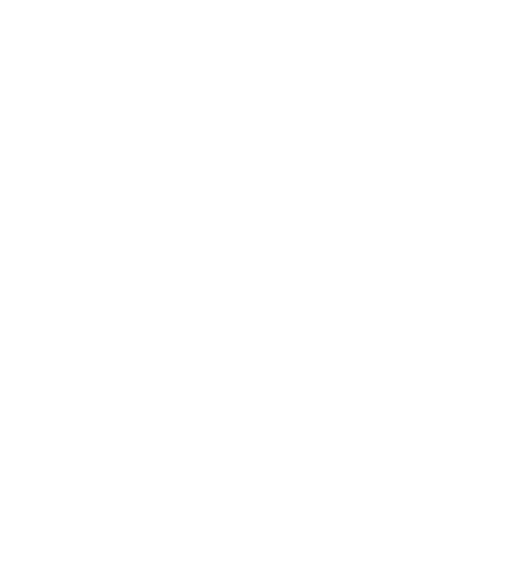 The Rolling Stones
