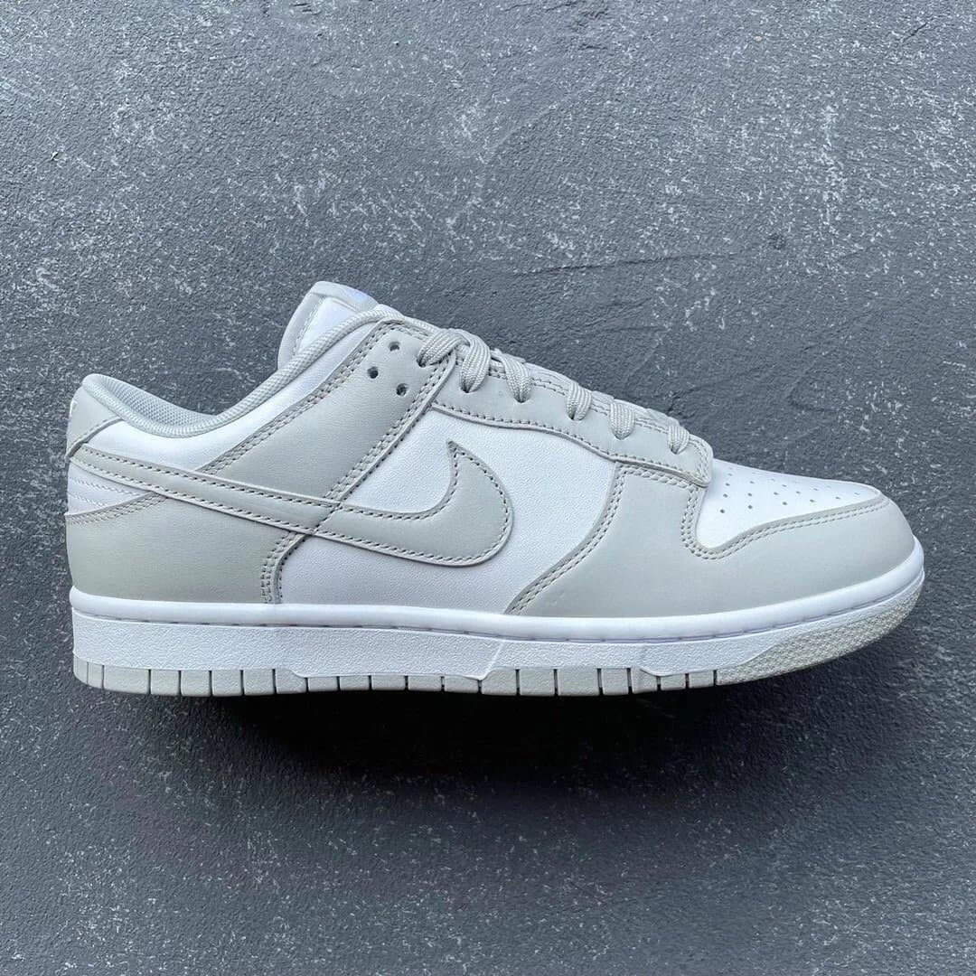Nike Dunk Low Light Smoke Grey
