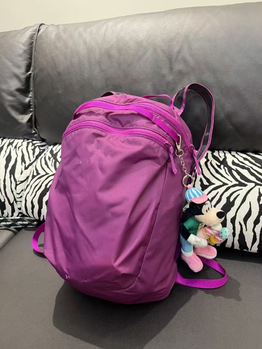 Arc'teryx Alpha FL Mini Dusty Rose — 15 liters of purple