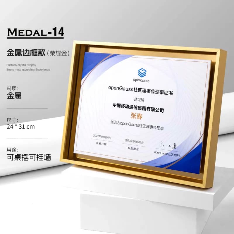 MEDAL-14 Metal Frame Trophy