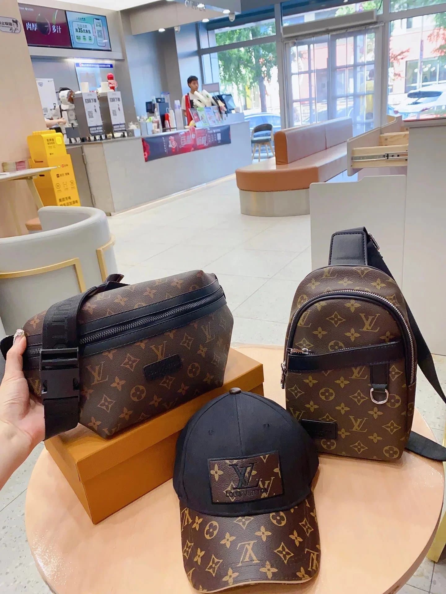 Louis Vuitton Monogram Canvas Bags LV Signature Print