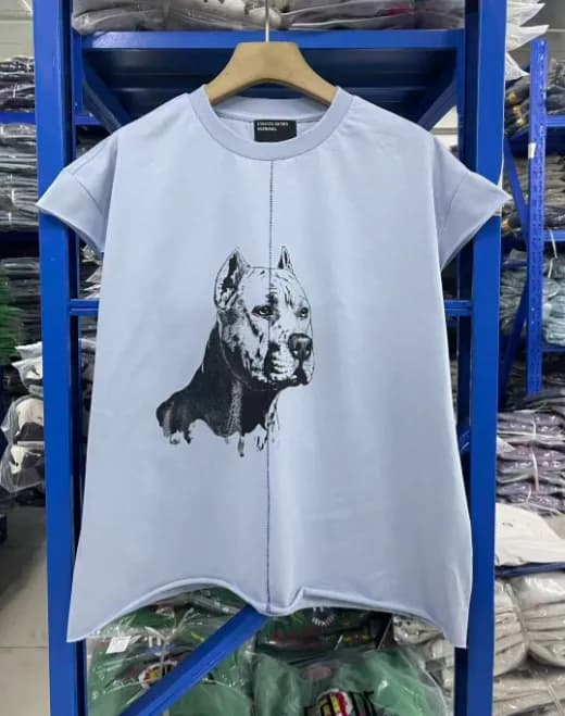 Palace Long Sleeve Tee Teen Just Wanted Love Print — E3707 light blue