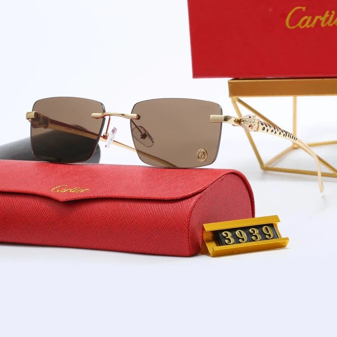 Cartier Sunglasses Panther Temple Detail