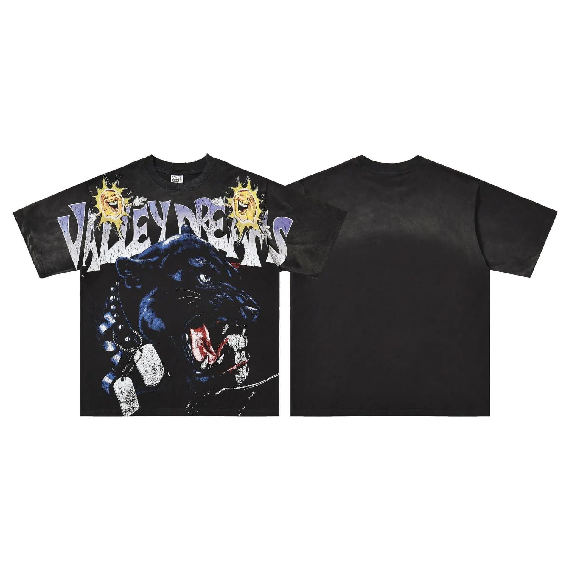 Valentino Graphic Tee Valley Dreams Print — v402白