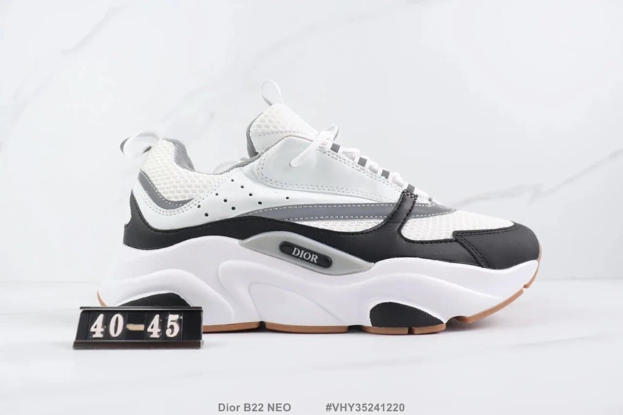 Dior B22 NEO White Black Grey