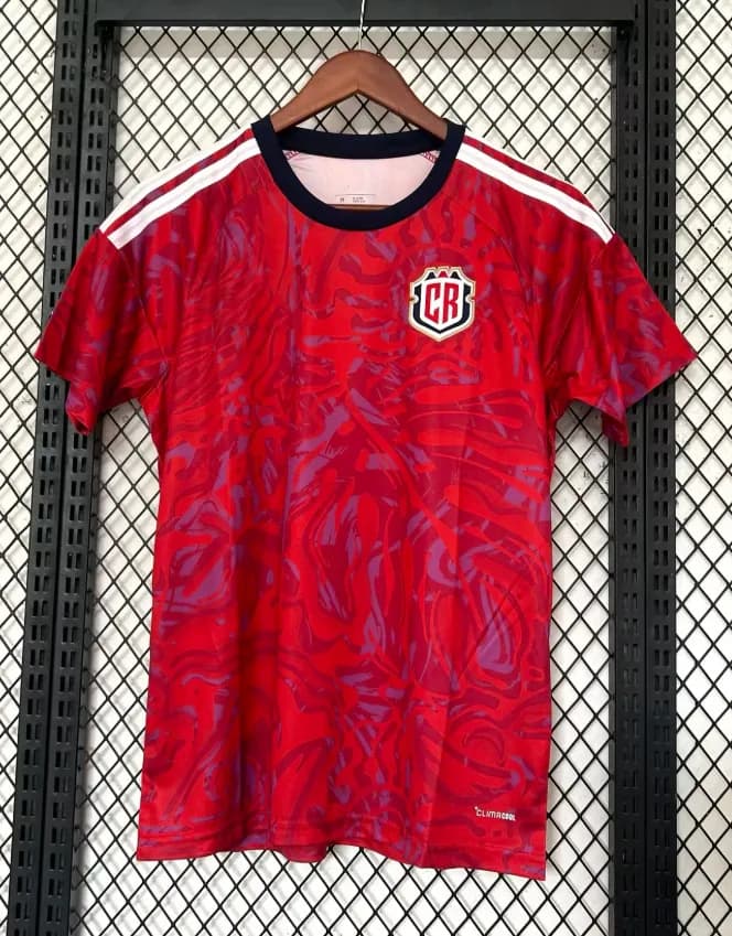 Spain National Team Jersey 2022 World Cup Away — 2026 costa rica host