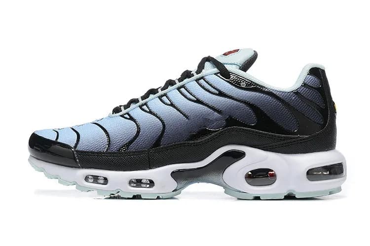Nike Air Max Plus Obsidian — 27