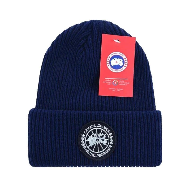 Canada Goose Beanie Arctic Program — 均码 · 14