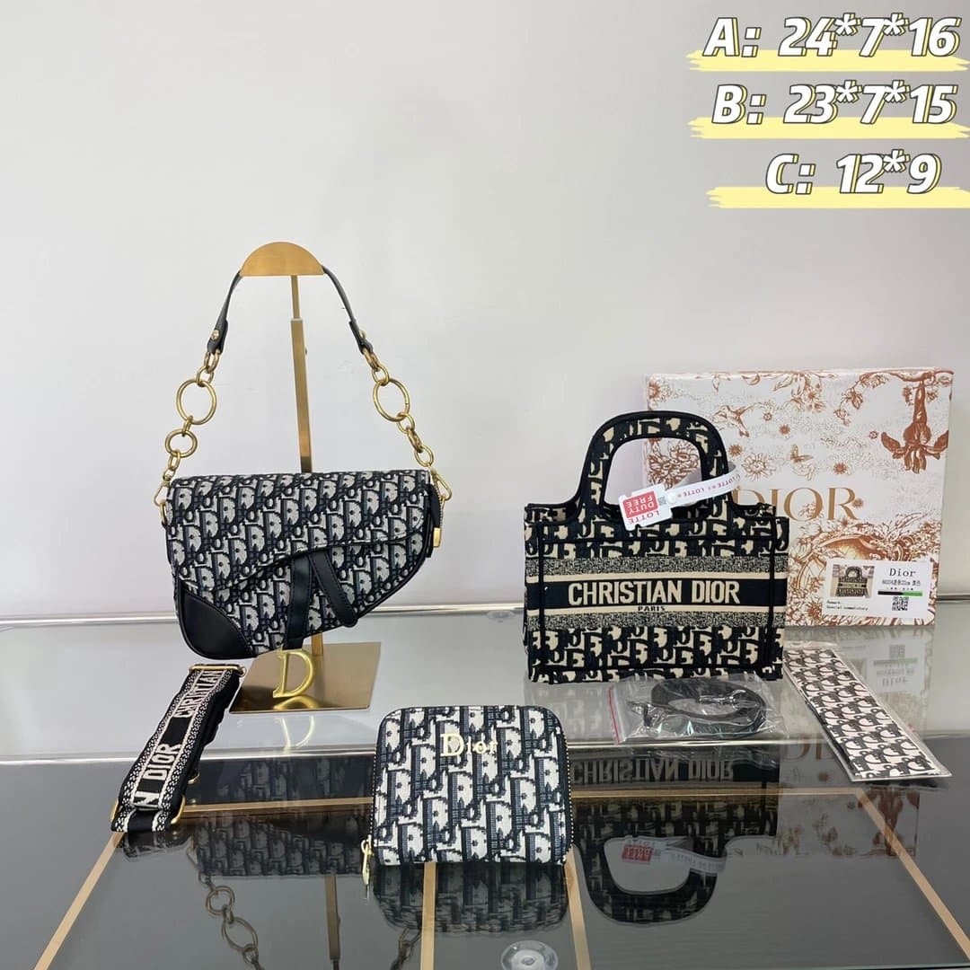 Dior Saddle Bag Oblique Print