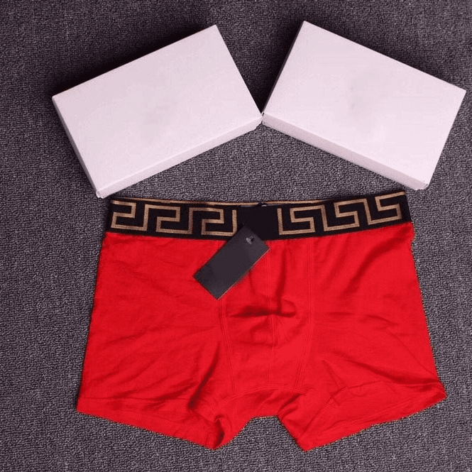 Versace Boxer Brief Greca Logo Waistband