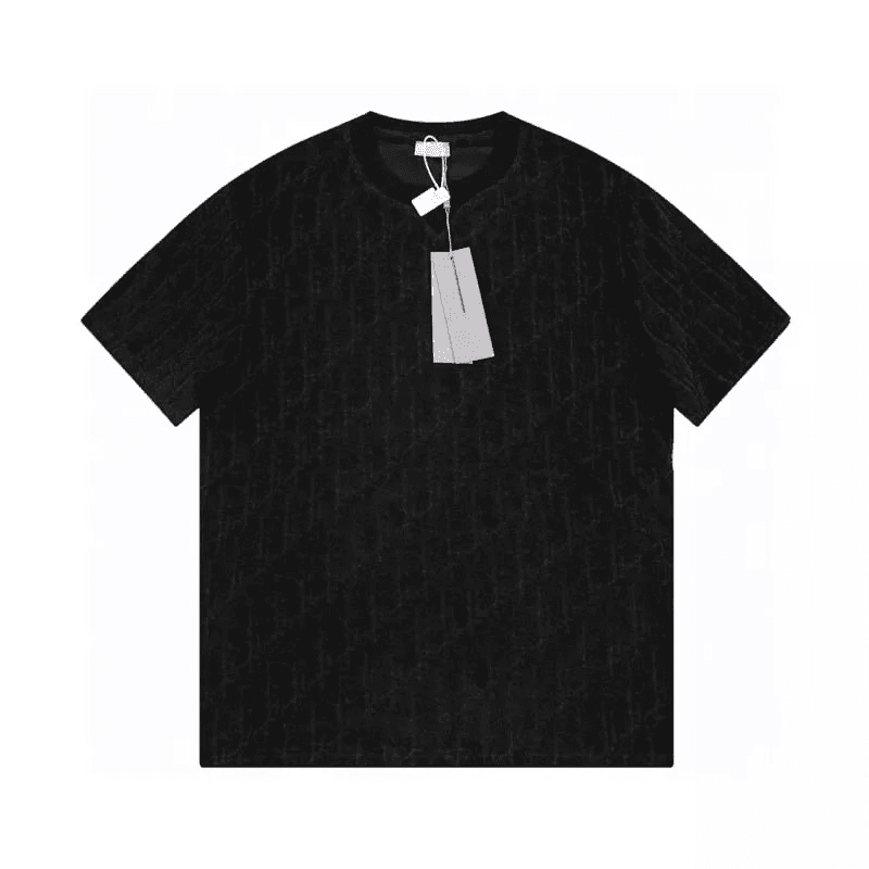 Dior T-Shirt Brushstroke Logo — 2